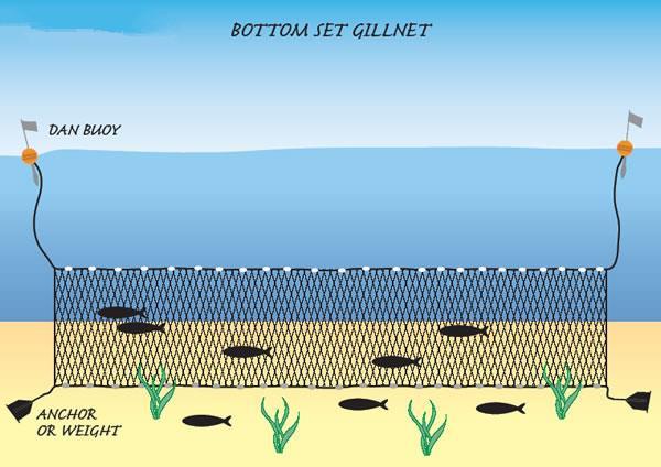 Onderste set Gillnet